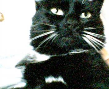 Mon bébé